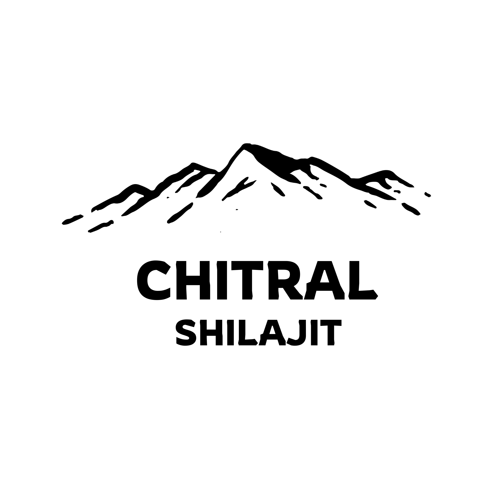 chitralshilajit.com